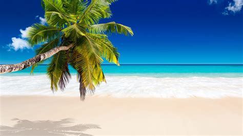 Tropical Beach Wallpapers Pictures Images