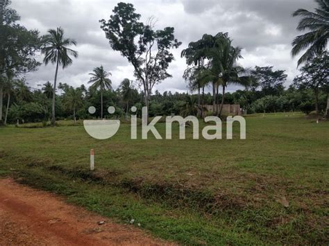 Land For Sale Kurunegala Ikman