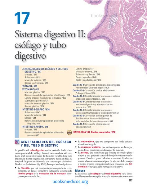Histología Ross Sistema Digestivo II 617 GENERALIDADES DEL ESÓFAGO Y