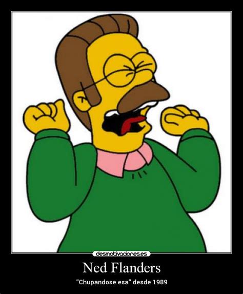 Ned Flanders Meme Memes