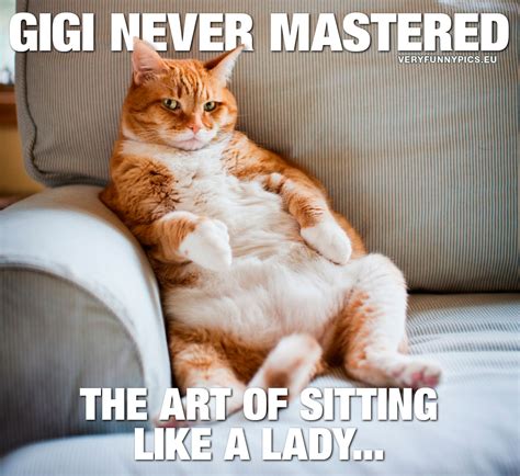 Nobody Tells Gigi How To Sit Very Funny Pics