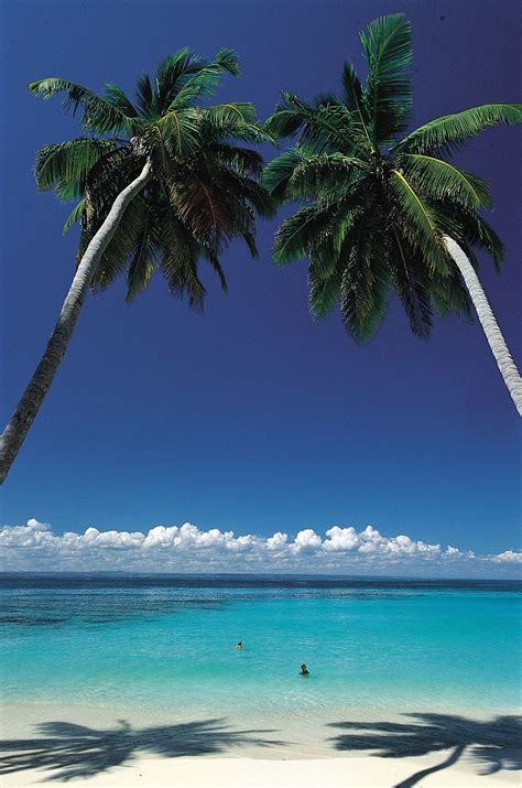 gorgeous blue caribbean sea and white sandy beaches in the dominican republic vacation spots