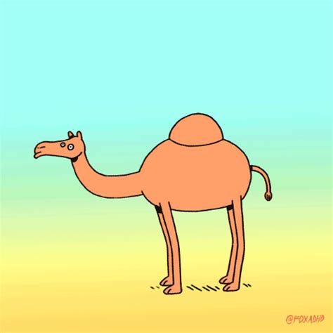 Hump Day Camel  Ice