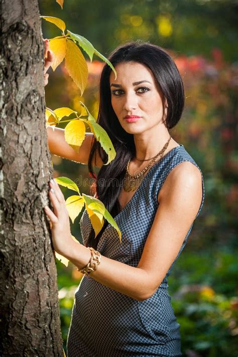灰色摆在的美丽的妇女在秋季公园 年轻深色的妇女在秋天的花费时间在一棵树附近在森林里 库存照片 图片 包括有 退色 方式