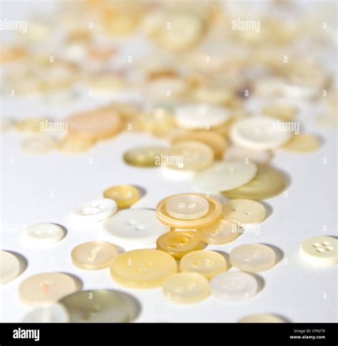 Light Color Sewing Buttons Stock Photo Alamy