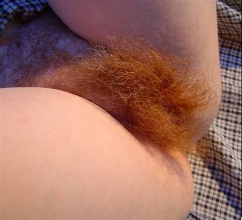 Hairy Red Pubes Xxx Porn