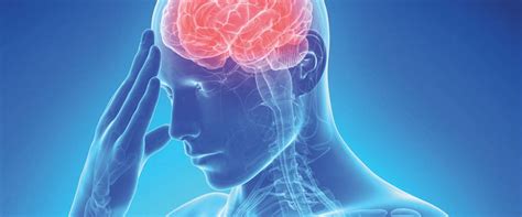 Daño Neurológico ¿qué Es La Atrofia Cerebral