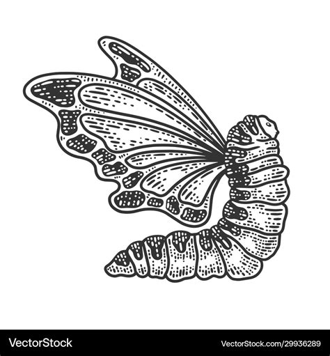 Caterpillar With Butterfly Wings Sketch Royalty Free Vector