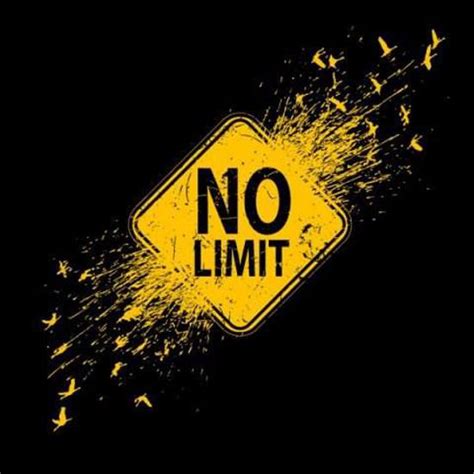 No Limite Das Business Des 21 Jahrhunderts L No Limit Movement