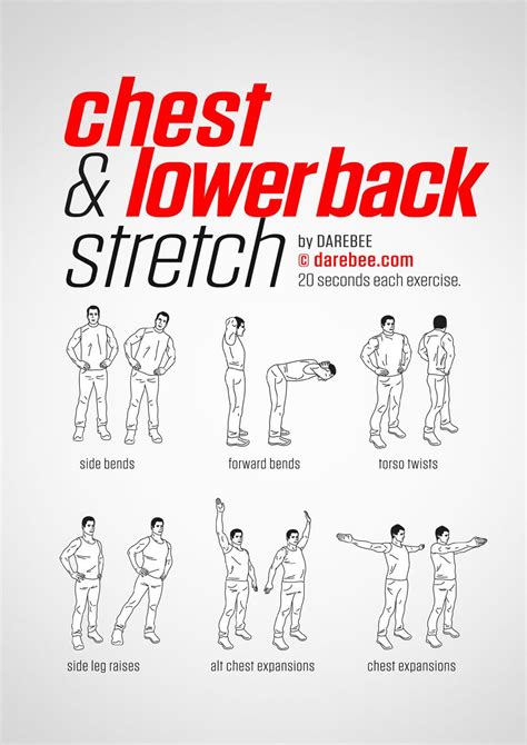 Chest And Lower Back Workout Fitness Workouts Circuit Fitness Easy Yoga