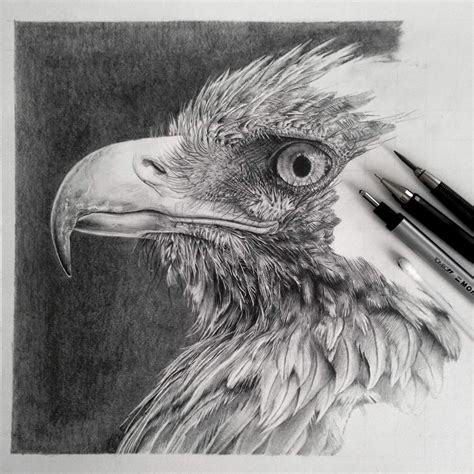 Simply Creative: Hyper-Realistic Graphite Drawings By Monica Lee