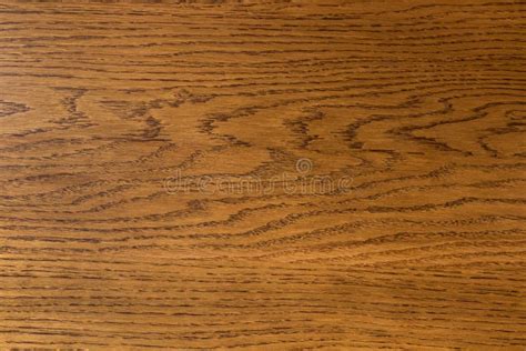 Polished Oak Wood Board Background Texture Stock Photo Image Of