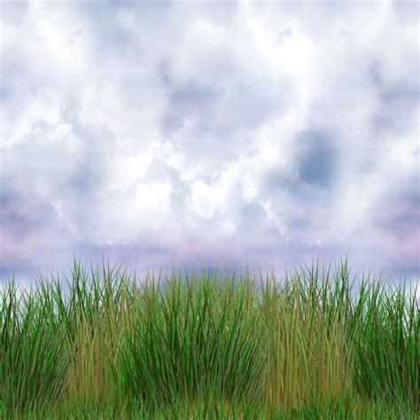 Grasssky Seamless Horizontal By Morgainea On Deviantart