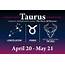 Taurus October 2019 Horoscope What Your Star Sign Forecast Says This 