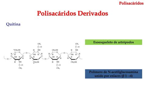 Ppt PolisacÁridos Powerpoint Presentation Free Download Id883243