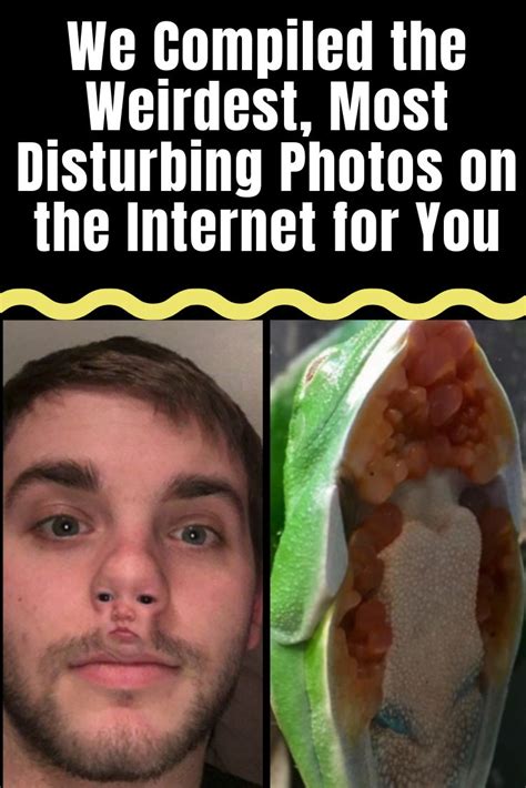 We Compiled The Weirdest Most Disturbing Photos On The Internet For