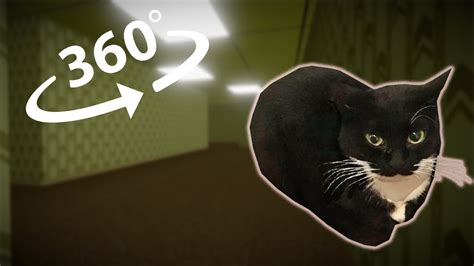 Maxwell The Cat Dance In Vr In The Backrooms And More Youtube