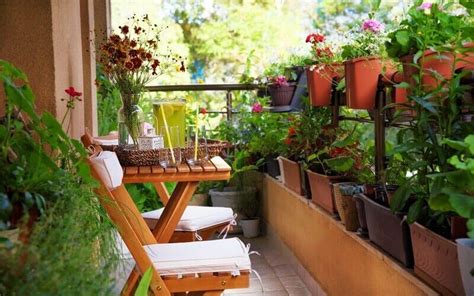 How To Start A Balcony Garden No Matter Your Balcony Size Au