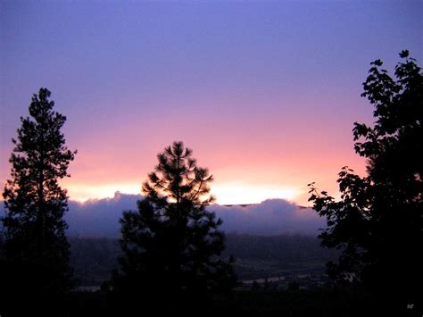 Misty Sunset Photograph By Will Borden Fine Art America