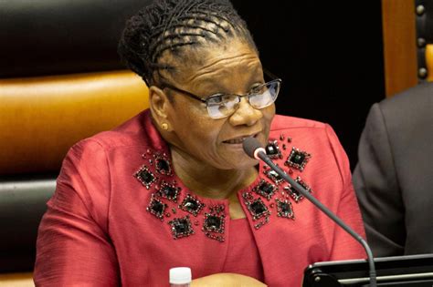 special force needed to deal with public violence in south africa — defence minister