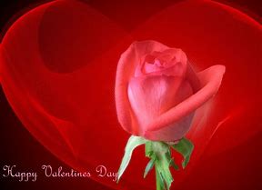 Image result for valentines images