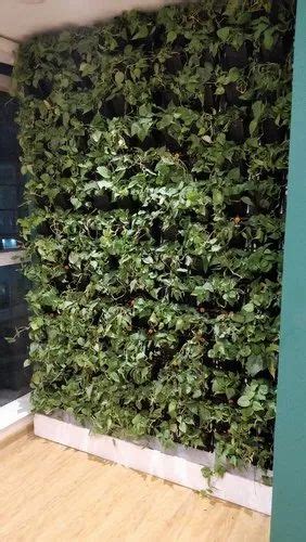 Urban Greens Plastic Natural Vertical Garden For Indoor And Outdoor At