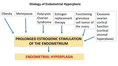 Pathology Of Endometrial Hyperplasia Pathology Made Simple