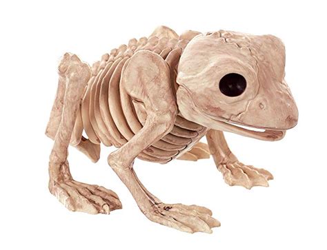 Crazy Bonez Skeleton Frog Bonez Toys And Games Halloween