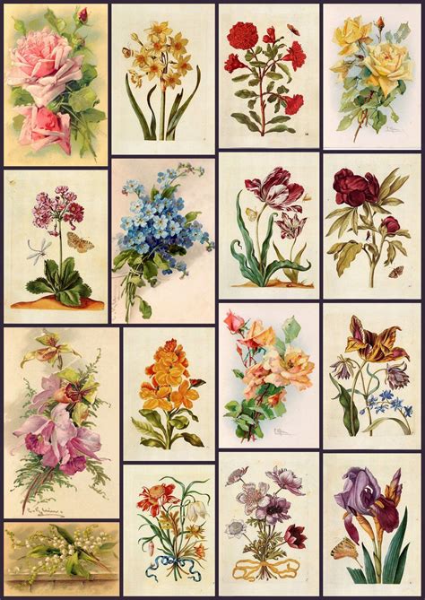 Artbyjean Paper Crafts Floral Vintage Vintage Botanical Prints
