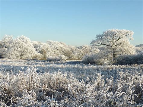 Hoar Frost Near Colton Hills © Roger Kidd Geograph Britain And