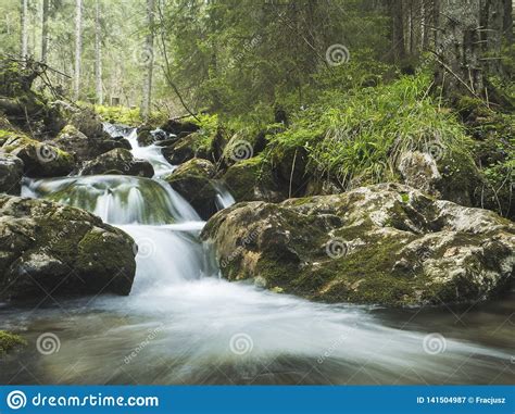 Mountain Stream With Cascades In Deep Forest Stock Image Image Of