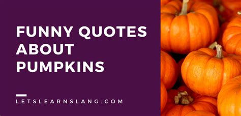 100 Funny Quotes About Pumpkins That Will Squash Your Boredom Lets