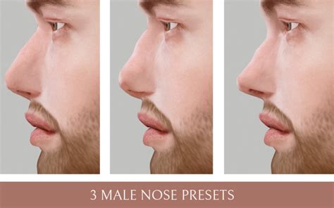 3 Male Nose Presets Lutessasims