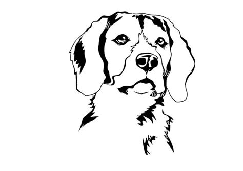 Beagle Svg Clipart Art Digital Design Png Beagle Silhouette Etsy