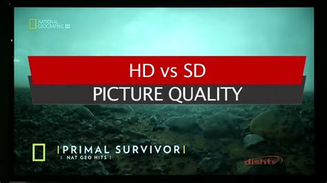 Sd Vs Hd Picture Explained Through Dishtv Set Top Box Youtube