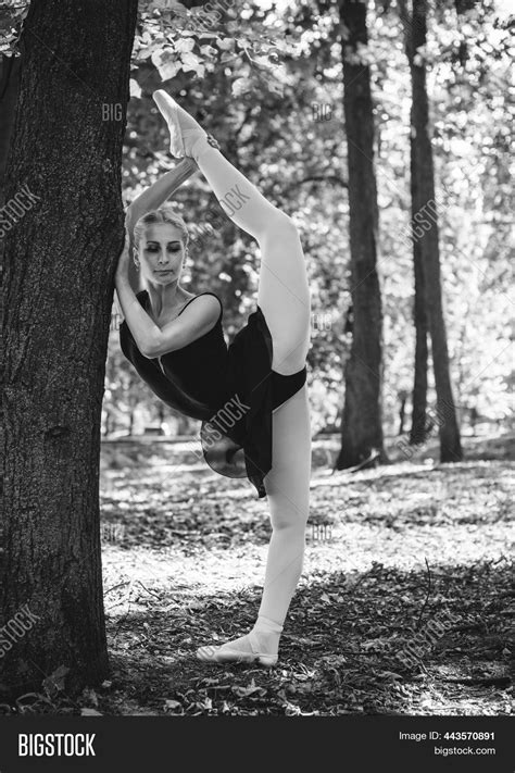 ballet dancer dancing image and photo free trial bigstock
