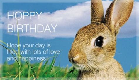 Free Hoppy Birthday Ecard Email Free Personalized Birthday Cards Online