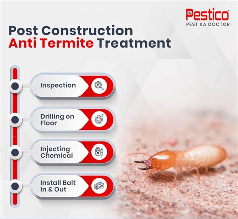 Termite Pest Control Service In India