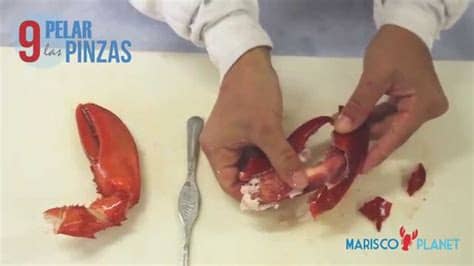 Arroz con bogavante, merluza al horno, merluza en salsa. ¿Cómo se come el Bogavante cocido de Marisco Planet? - YouTube