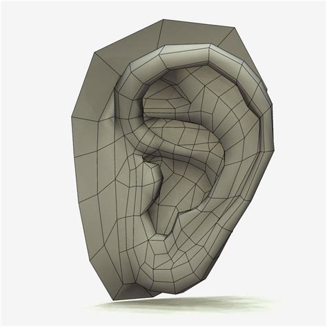 Ear 3d Model