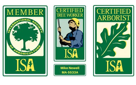 Isa requires three years of experience before allowing you. Certified Arborist - Mike's Tree Service