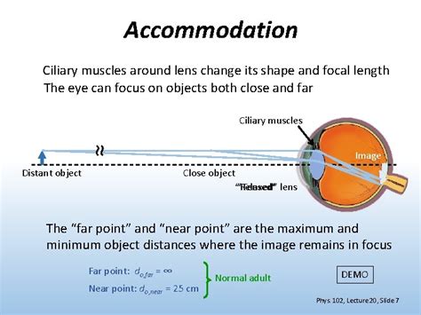 Phys 102 Lecture 20 The Eye Corrective Lenses