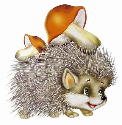 Hedgehog Cliparts