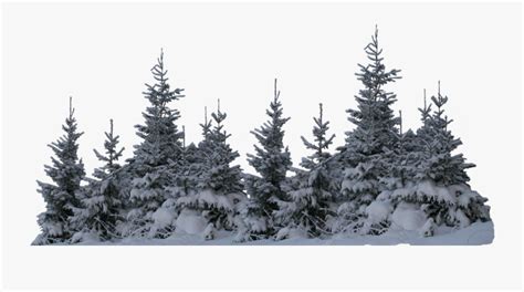 Ftestickers Wintersnow Foresttrees Freetoedit