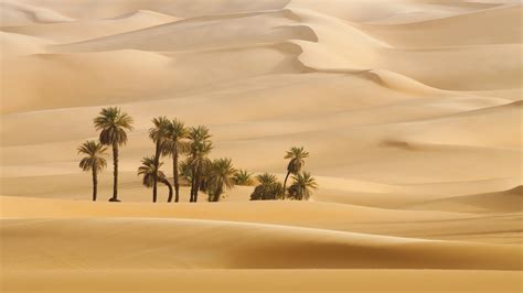 Download 1920x1080 Wallpaper Landscape Desert Palm Trees