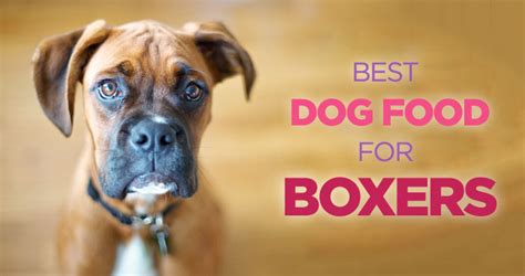 This dog food for boxer puppies are grain and poultry free as well, so you shouldn't have any issues with the food allergies this excellent breed often it's the one of the best dog food for senior boxers on the market, we can find. Best Dog Food for Boxers: High Protein Diet Is The Key