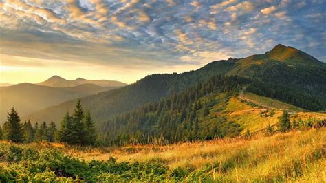 Check spelling or type a new query. Full HD Nature Wallpapers Free Download For Laptop PC ...