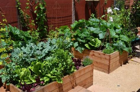 Gardening Advice Raised Vegetable Beds Garden Design