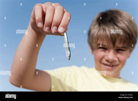 Boy 8 9 Holding Small Fish Close Up Stock Photo Alamy