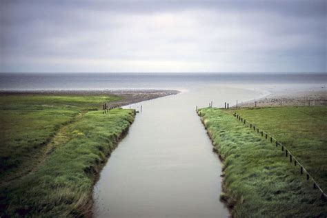 Wadden Sea Near De Zwarte Haan Netherlands World Heritage List
